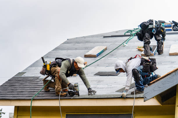 Professional Roofing technician working in Alverda, PA